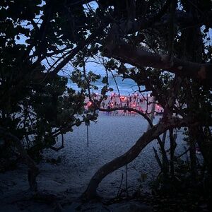 Meet your Posher, Elle